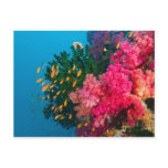 South Pacific, Fiji, Viti Levu, Bligh Water,
