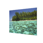 South Pacific, French Polynesia, Moorea 3 Canvas Print