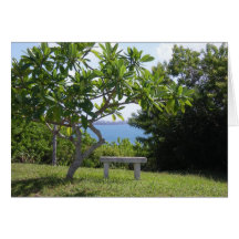 South Shore Bermuda Greeting Cards