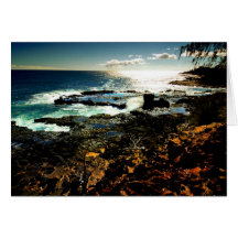 South Shore Seascape Cards