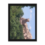 southafrica postcard