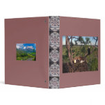 Southern Bald Eagles Binders