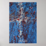 Southern Cross Posters