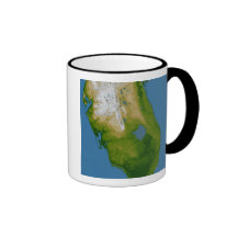 Southern Florida Mugs
