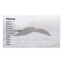 Southern Giant Petrel In Flight Business Cards