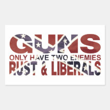 SOUTHERN GUNS RECTANGLE STICKER