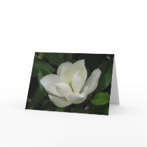 Southern Magnolia Bloom Card