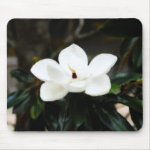 Southern Magnolia Flower Computer Mousepad