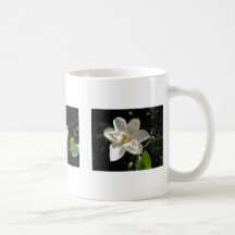 Southern Magnolias Coffee Mug