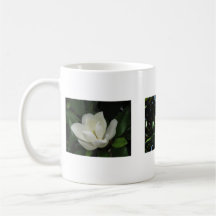 Southern Magnolias Mug