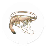 Southern Shrimp Art Sticker