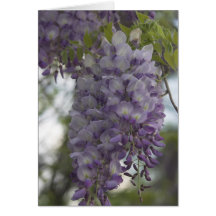Southern Spring fling Greeting Card