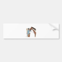 Southern Style Bumper Sticker