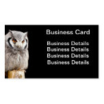 Southern White Faced Owl on a post Business Card Templates