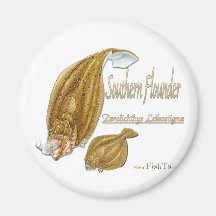 southernflounderspecies refrigerator magnets