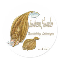 southernflounderspecies round stickers