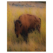 'Southwest Buffalo of the Prarie' Custom Flyer