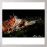 Southwest Cow Skull, Jeffrey Sinnock Print