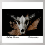 Southwest cow skull posters