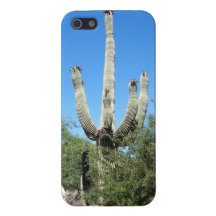 Southwestern Desert Saguaro Cactus Cases For iPhone 5