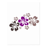 Souvenir pourpre et gris d'Hawaï de ketmie Cartes Postales