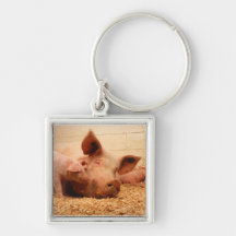 Sow and Piglets Keychain