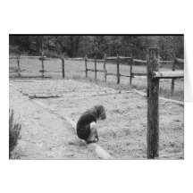 Sowing the Seeds of Love Greeting Card