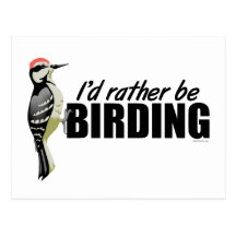 Soyez plutôt Birding Cartes Postales