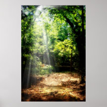 Soyez toujours (l'affiche de paysage de forêt)