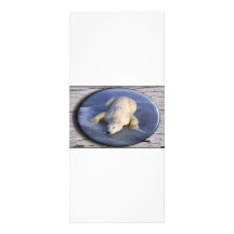 SPACE BEAR III RACK CARD TEMPLATE
