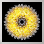 Space Flower Poster