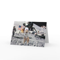 Space Lab Birthday Greeting Cards