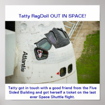 Space shuttle last flight poster