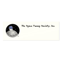 Space Tweep Logo Cards Business Card Templates