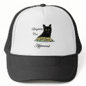 Spaghetti Cat Approved hats
