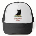 Spaghetti Cat hats