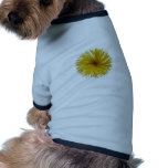 Spaghetti flower pet clothing