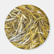 Spaghetti Seaweed Magnet
