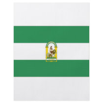 Spain Andalucia Flag Flyer