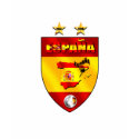 Spain Champions emblem shield t-shirts