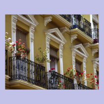 Spain, Sevilla, Andalucia Geraniums hang over posters