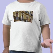 Spain, Sevilla, Andalucia Geraniums hang over t-shirts