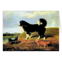 Spaniel and Two Norfolk Terriers Greeting Cards