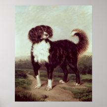 Spaniel Posters