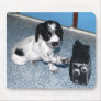 Spaniel Puppy Photographer Mousepad