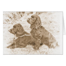 Spaniels Greeting Card