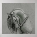 Spanish Horse drawing poster posters