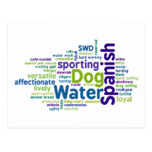Spanish Water Dog Post Cards