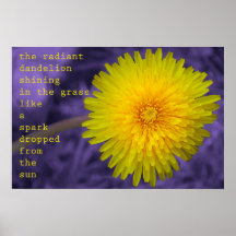 Spark From The Sun Radiant Dandelion Poster Print