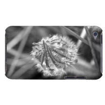 Sparkling Crocus in Black and White Barely There iPod Case